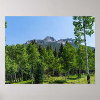 Poster sommet thorodin au-dessus des bois à la porte d'or