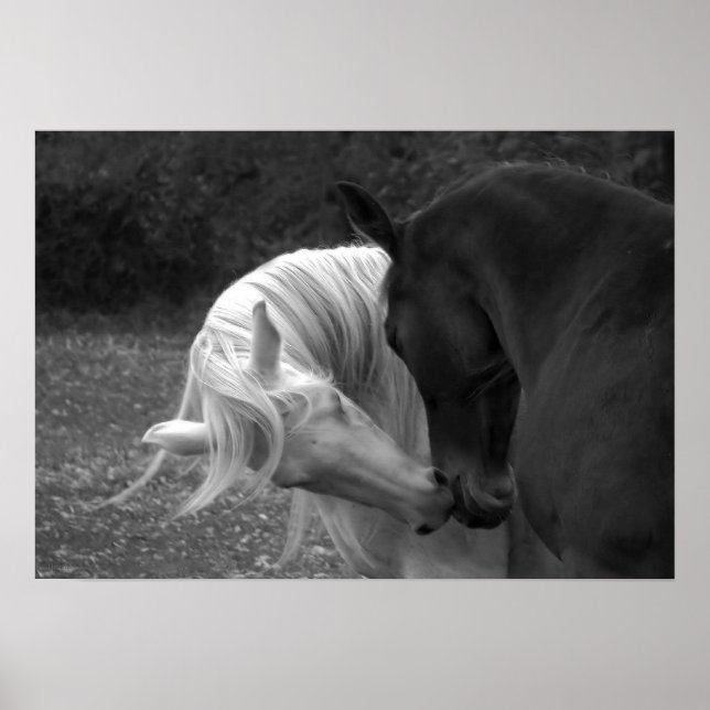 Poster Son Amour (Devant)