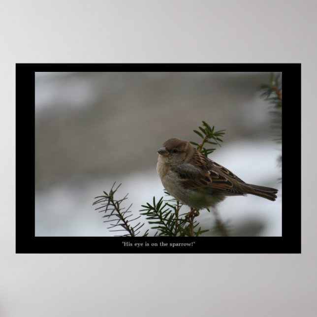 Poster "Son oeil est sur l'affiche du Bruant ! (Devant)