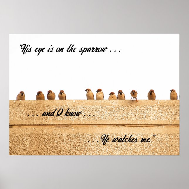 Poster Son Oeil est sur le Bruant. . . (Devant)