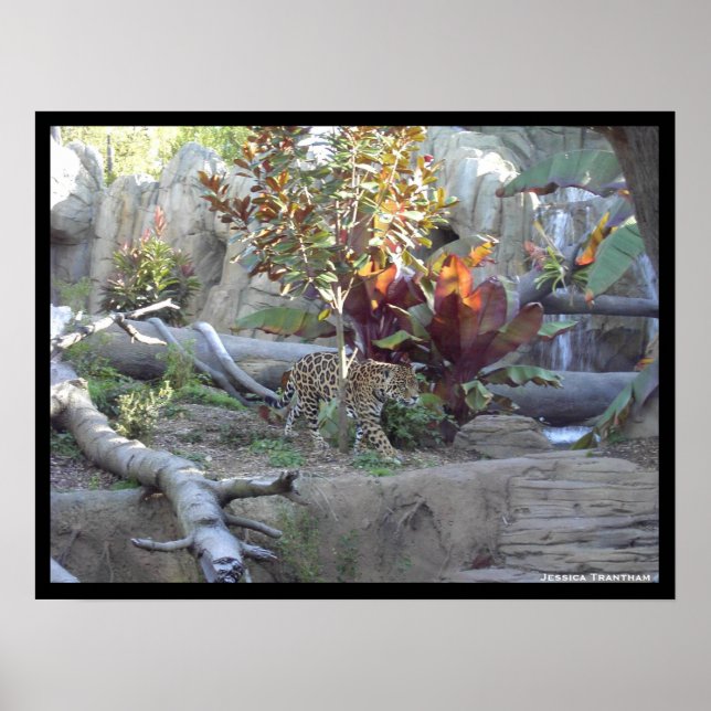 Poster Sondage (Devant)