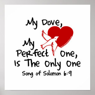Poster Song of Solomon 6:9