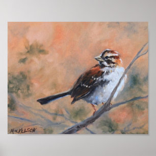 Poster Song Sparrow Fine Art Print