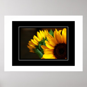 Poster Sonnenblumen