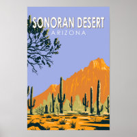 Sonoran Desert Arizona Art Vintage