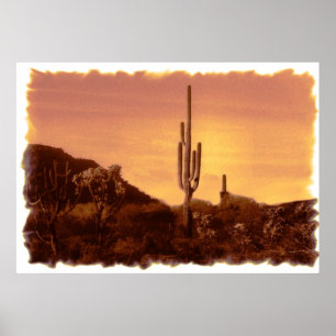 Poster Sonoran Tournage