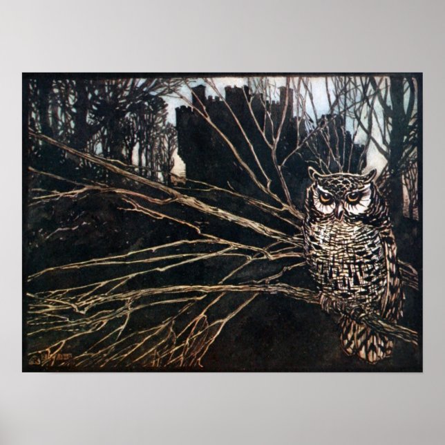 Poster Sorcière sous forme de hibou (Devant)