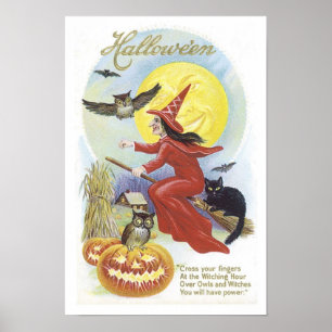 Poster Sorcière volante, chauves-souris, chat, Chouette