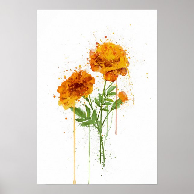Poster Soucis (Devant)