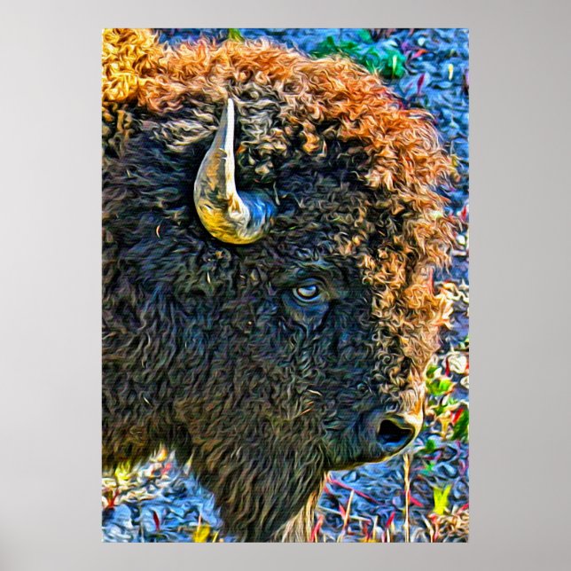 Poster Soul de buffle (Devant)