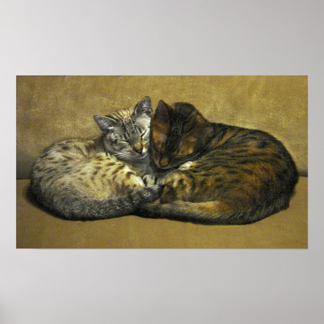 Poster Soul Mates (Devant)