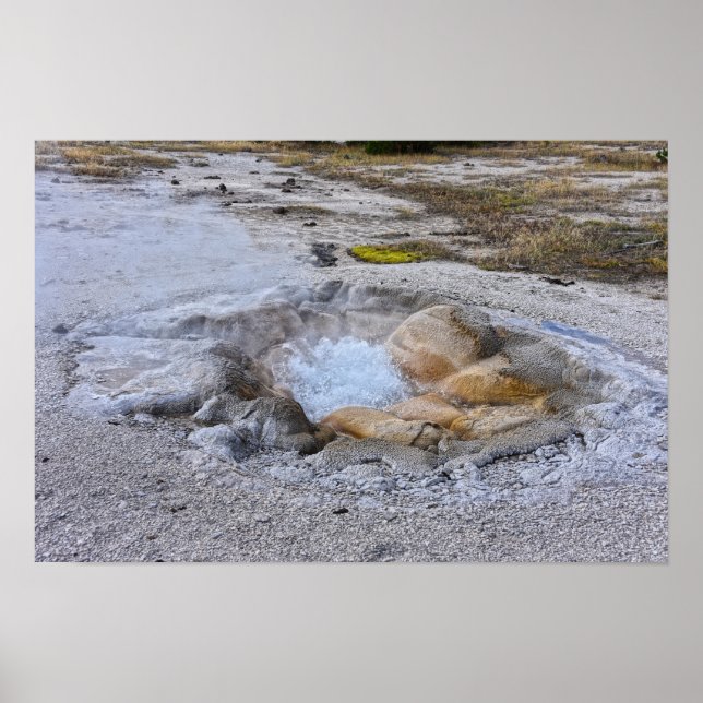 Poster Source Shell dans le parc national de Yellowstone, (Devant)