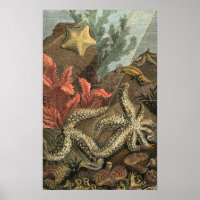 Sous la mer