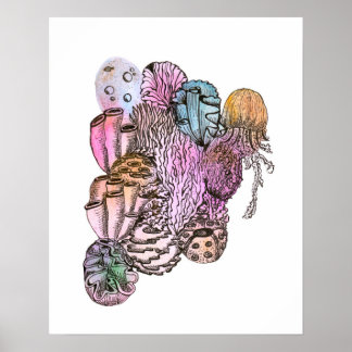Poster Sous la mer 01