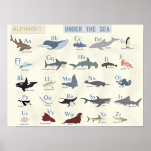 Poster Sous l'alphabet marin