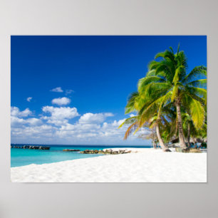 Poster - Sous le soleil des tropiques