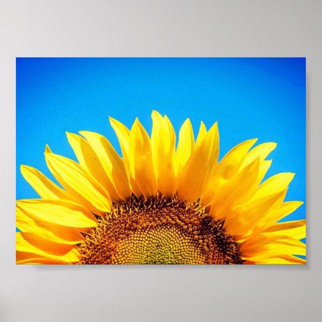 Poster Soutenez Ukraine bleu ciel jaune tournesol (Devant)