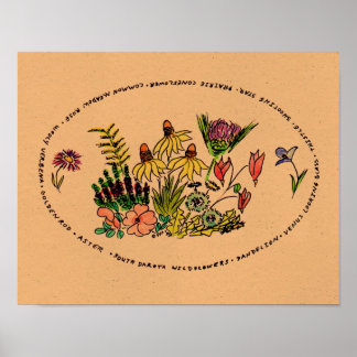 Poster South Dakota Wildflowers by Susan Young-Anderson