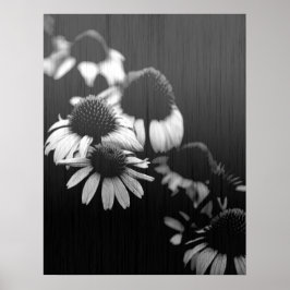 Poster Souvenirs passés