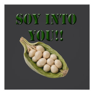 Poster Soy Into You : A Vegan Love Story,