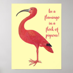 Poster Soyez un Flamant rose - amusement, citation