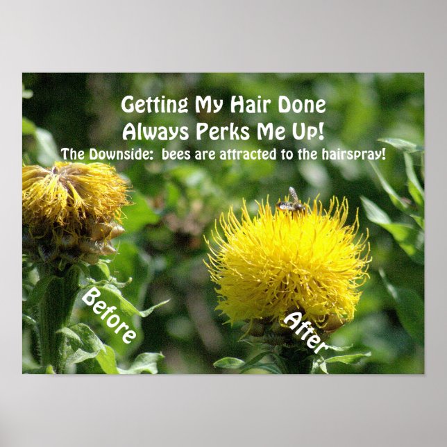 Poster, Spaß, "Haare erledigen zu können, macht mi Poster (Vorne)