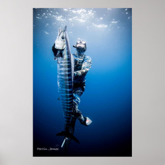 Poster Spearfishing wahoo