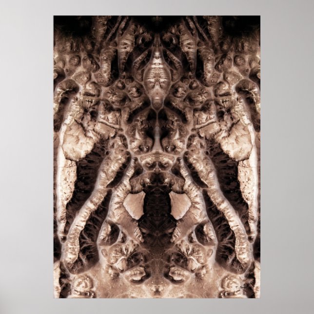 Poster Spectacle de fous (Devant)