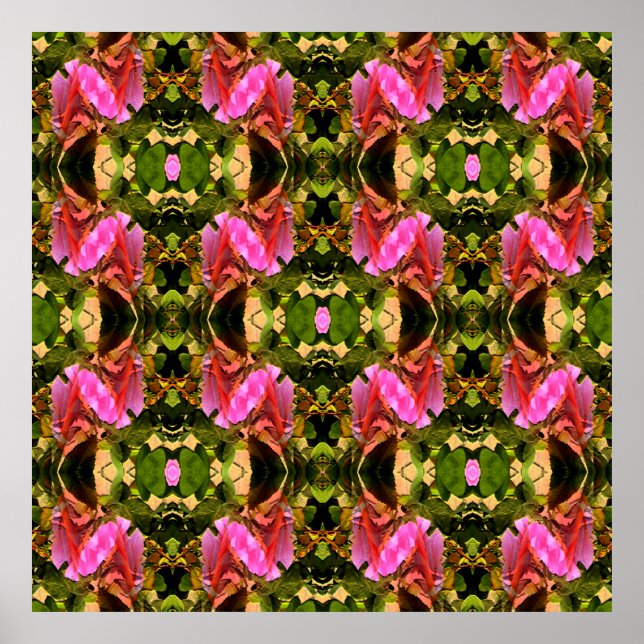 Poster Spectaculaire rose...... (Devant)