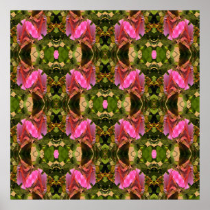 Poster Spectaculaire rose....