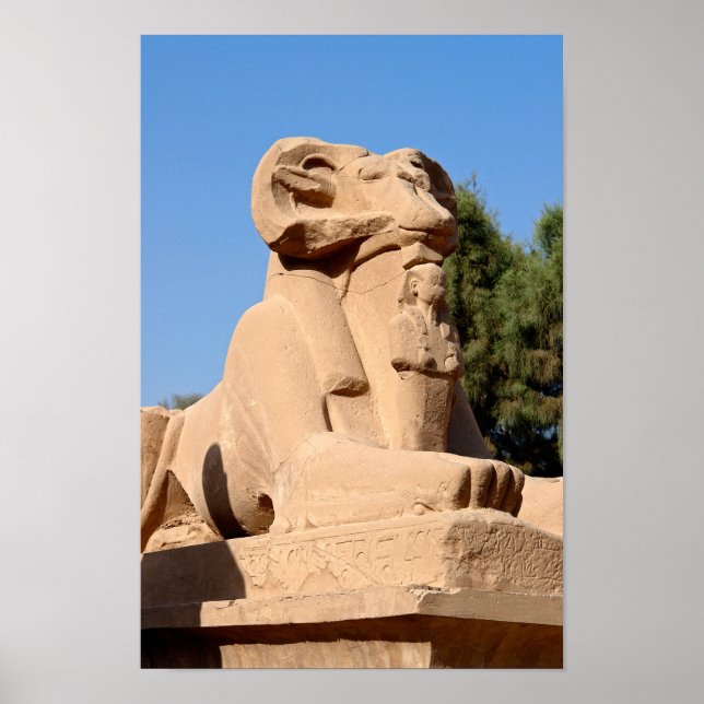 Poster Sphinx à tête de bélier dans le temple de Karnak - (Devant)