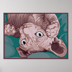 Poster Sphinx Joueur