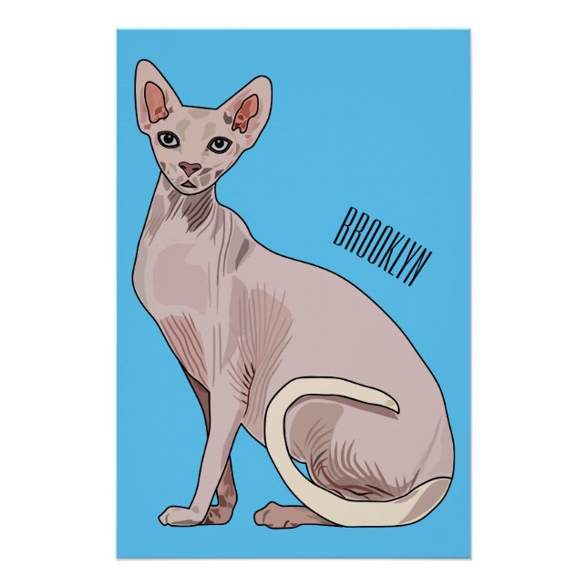 Poster Sphynx cat (Devant)