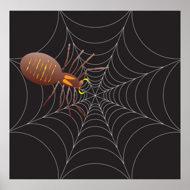 Poster Spider Et Spider Web (Devant)