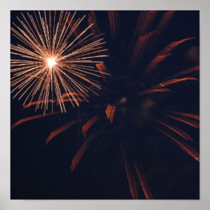 Poster Spider Firework