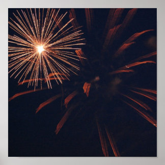 Poster Spider Firework