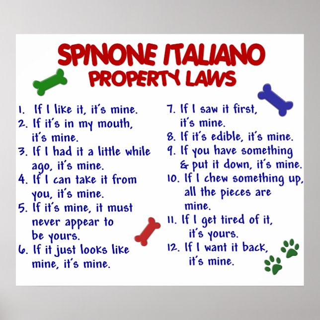 POSTER SPINONE ITALIANO PL2 (Devant)