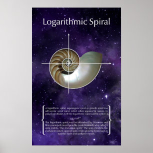 Poster Spirale logarithmique