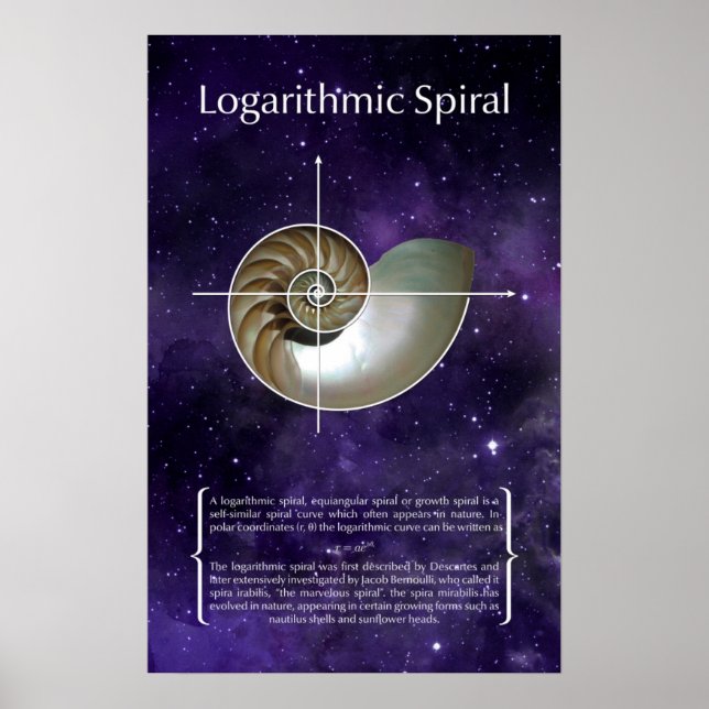 Poster Spirale logarithmique (Devant)