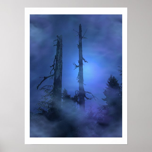 Poster "SPIRIT MIST" Forêt Bleue (Devant)