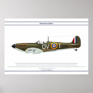 Poster Spitfire GB 19 Sqn 1
