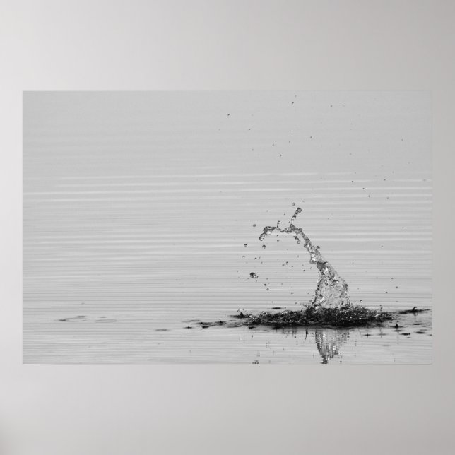 Poster Splash (Devant)