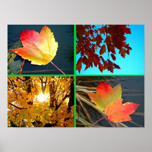 Poster Splendor (Devant)