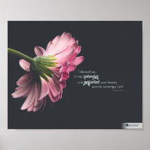 Splendor (Ezéchiel 16:14)