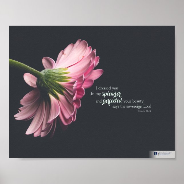 Poster Splendor (Ezéchiel 16:14) (Devant)