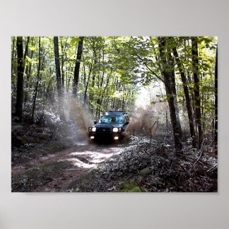 Poster Splish Splash