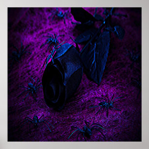 Poster Spooky Black Material Rose, Black Spiders