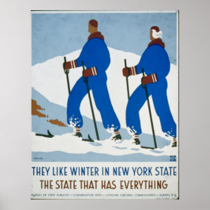 Poster Sport hivernal vintage à New York