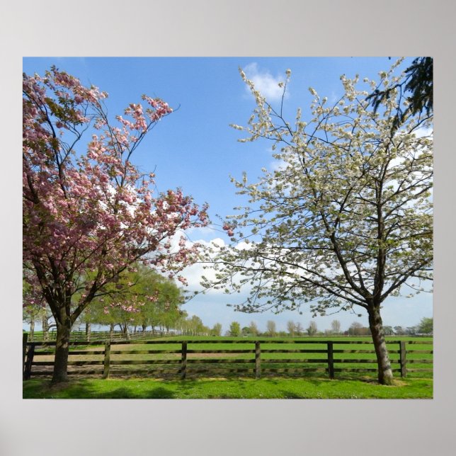 Poster Spring (Vorne)