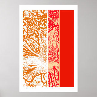 Poster Spring blossom